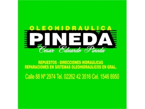 OLEOHIDRAULICA PINEDA DIRECCIONES HIDRAULICAS REPUESTOS TALLER BOMBAS